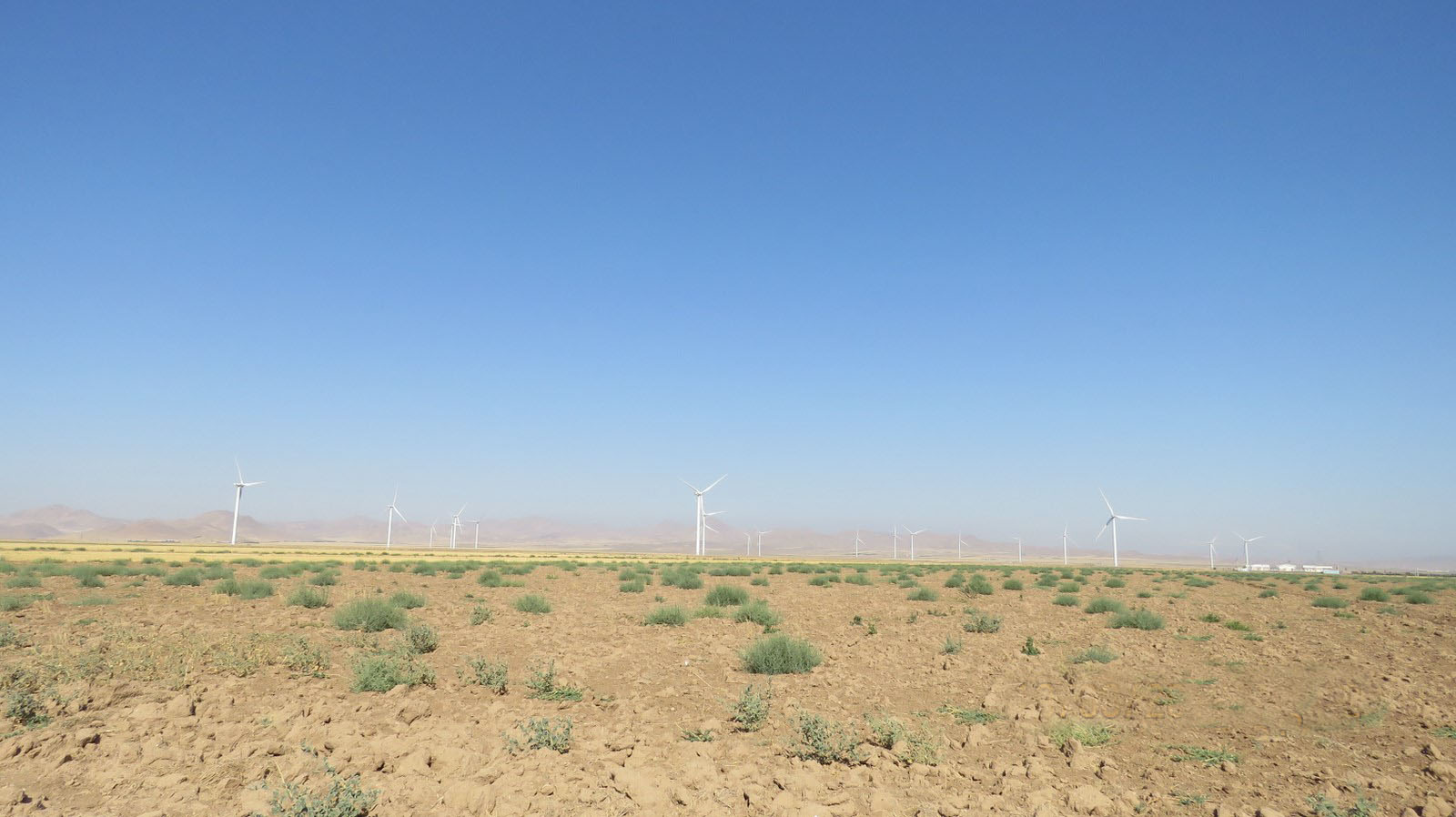 مزرعه-بادی-کهک-1-و-2-2